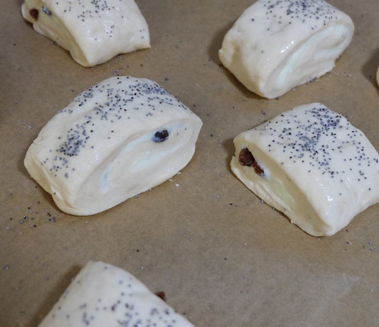 Rolled buns, ready to bake