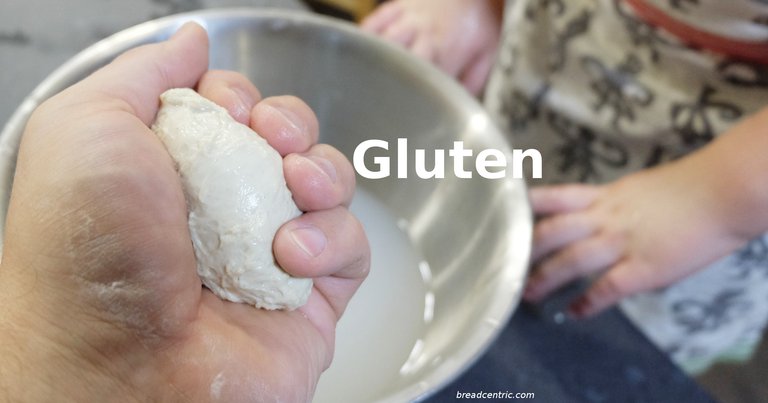 Gluten