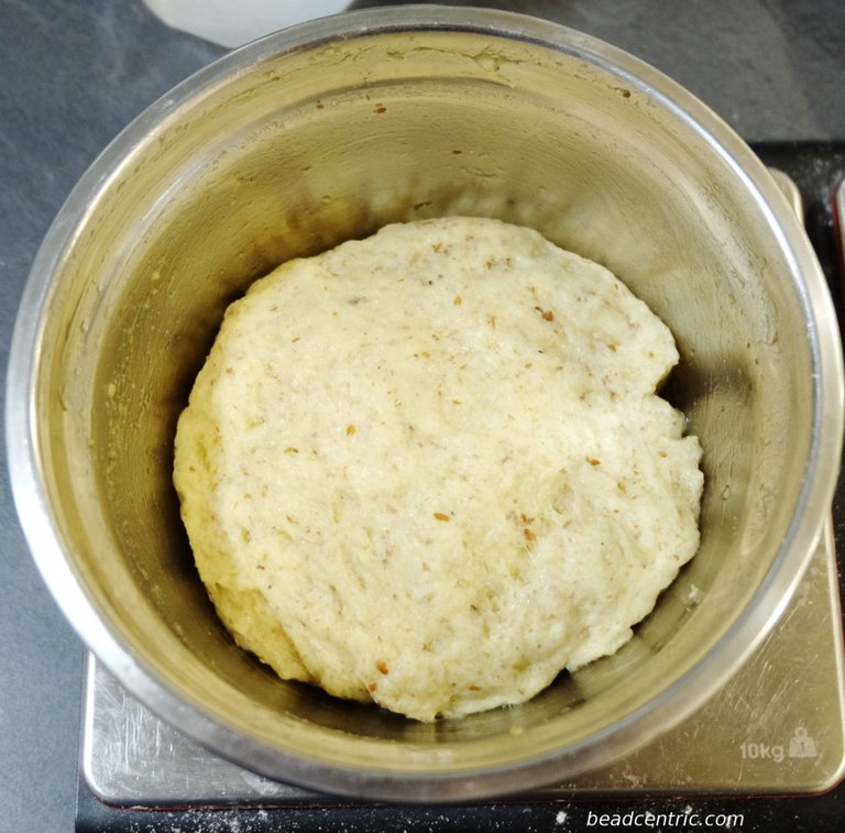 The dough after first proofing