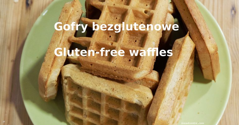 Gluten-free sourdough waffles (pancakes)