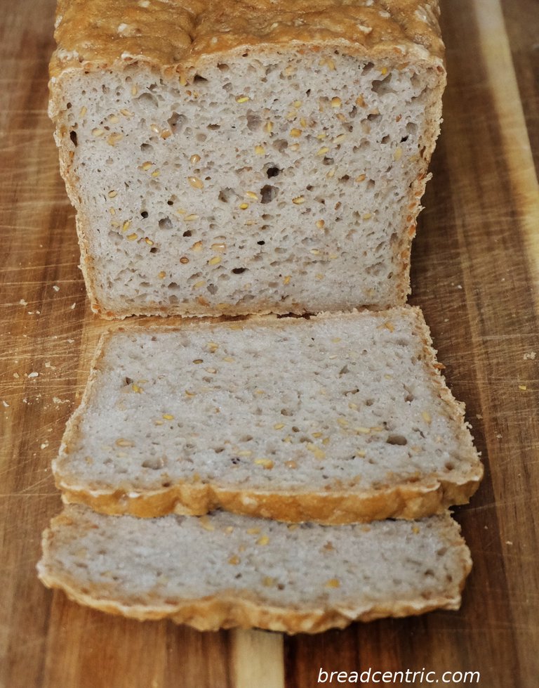 Gluten free toast bread - the crumb