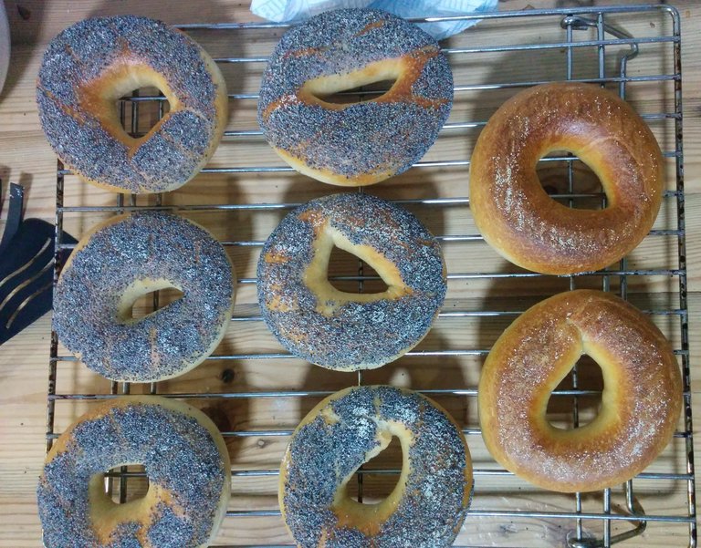 Bagels cooling down on a rack