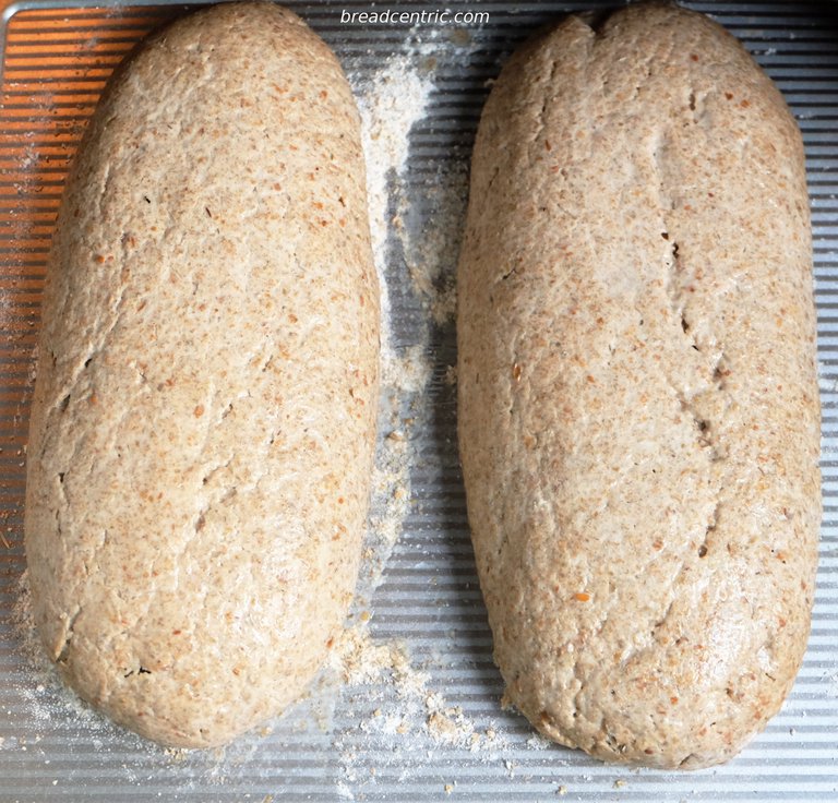 Loaves ready to put into the oven