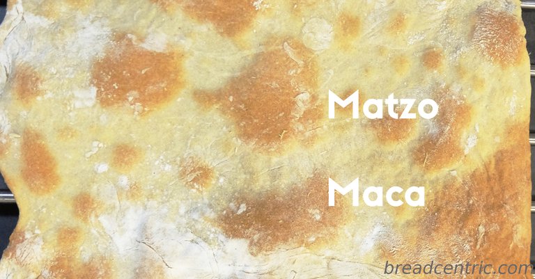 Matzo bread. Maca.