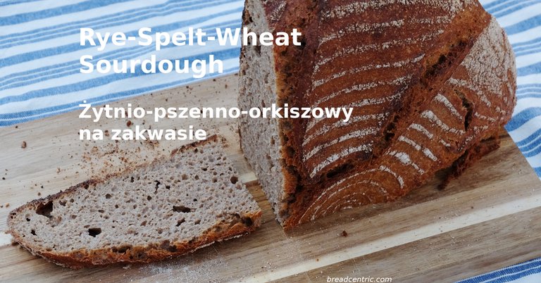 Rye-spelt-wheat sourdough bread