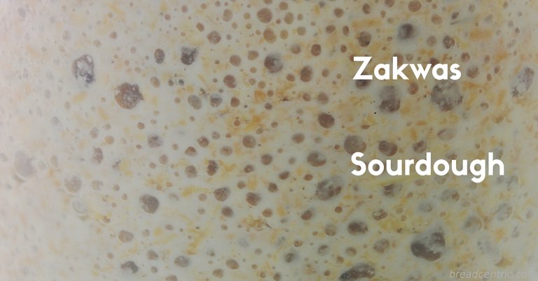 Sourdough. Zakwas.