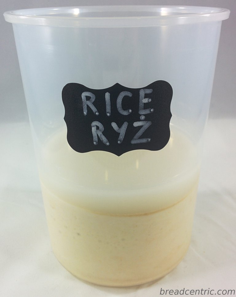 Rice sourdough