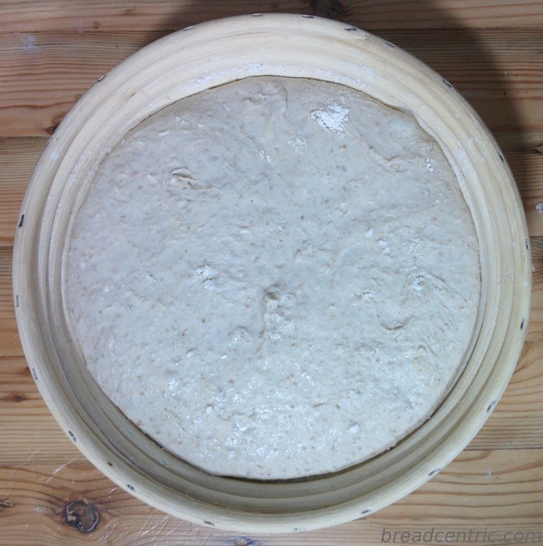 Dough in a banneton
