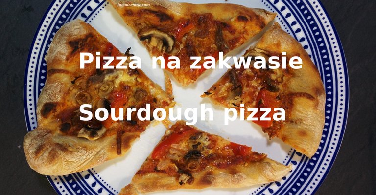 Sourdough pizza