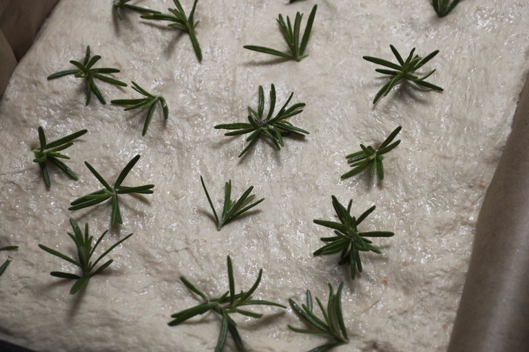 Focaccia before baking