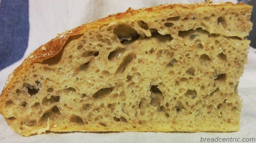 The crumb (torn dough seen in the upper section)