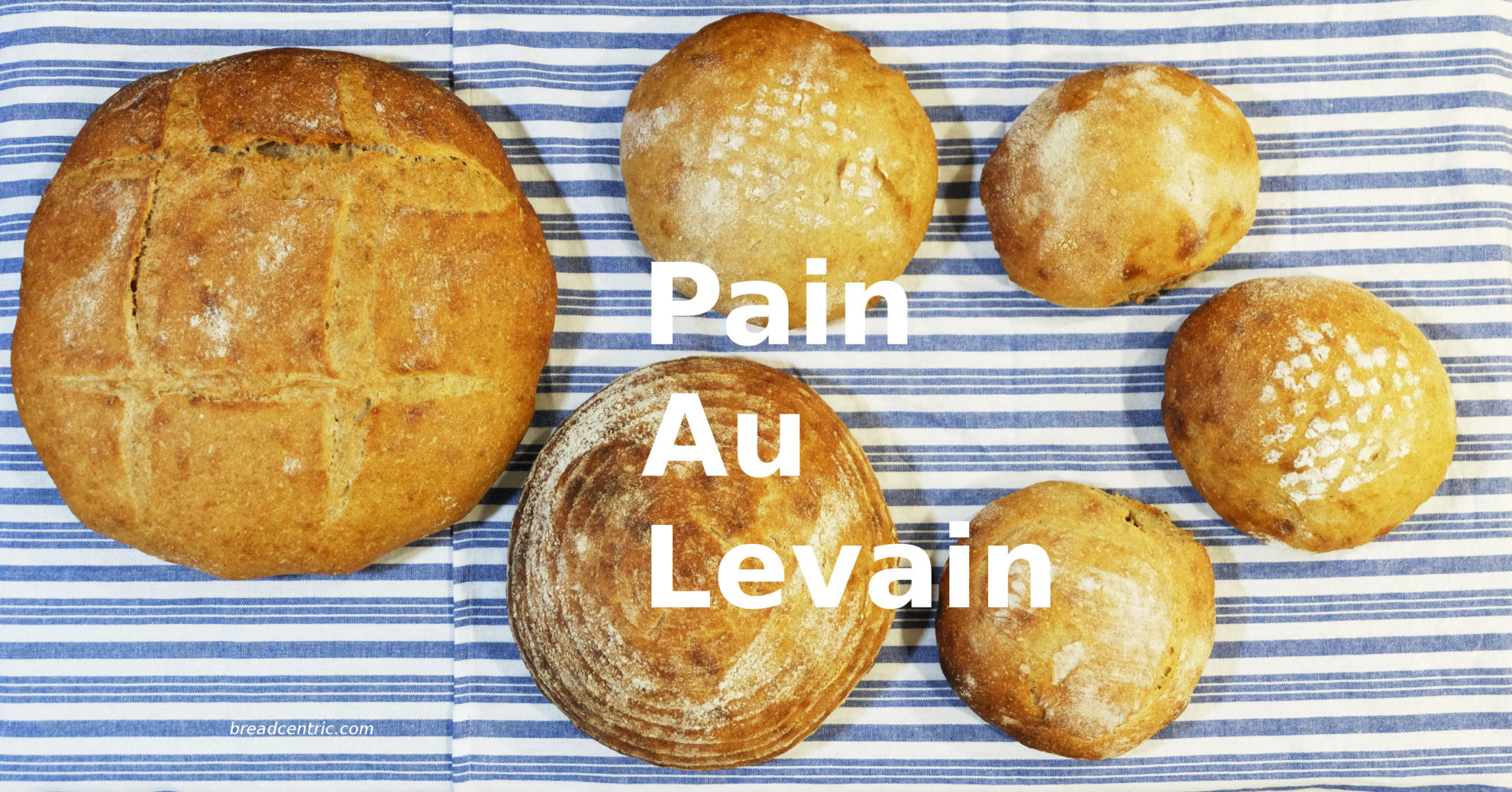 Pain Au Levain – Breadcentric