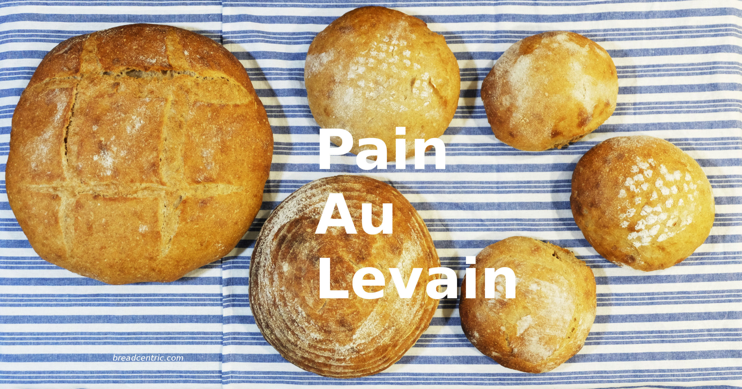 Pain Au Levain – Breadcentric