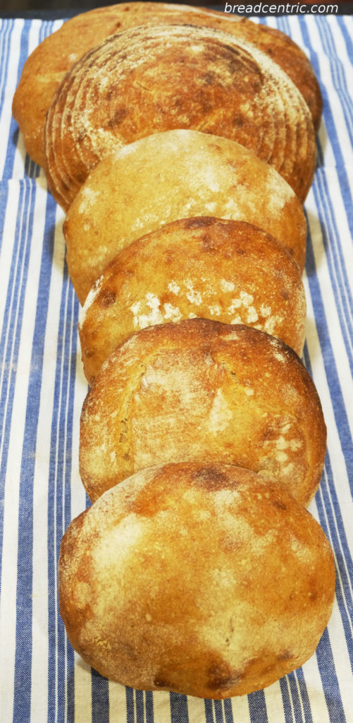 Pain Au Levain