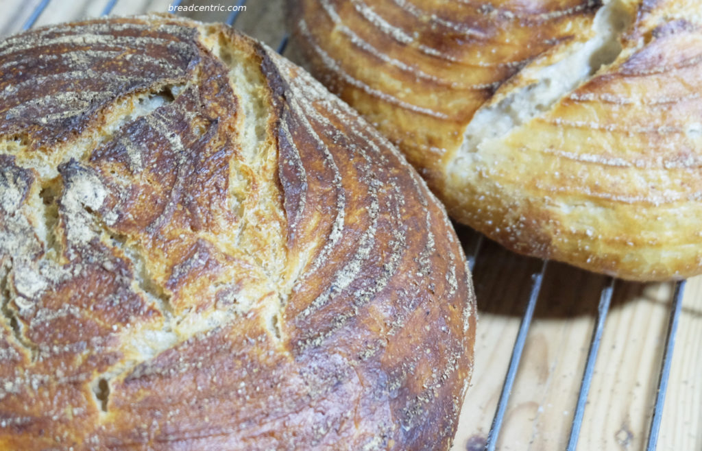 Wheat sourdough bread