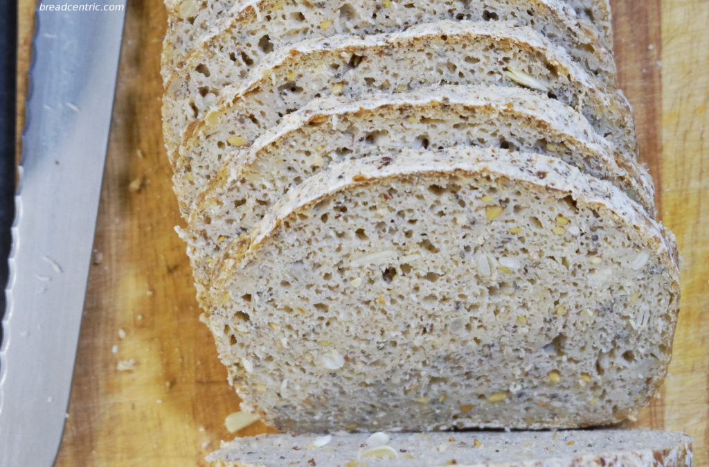 Gluten-free sourdough - the crumb