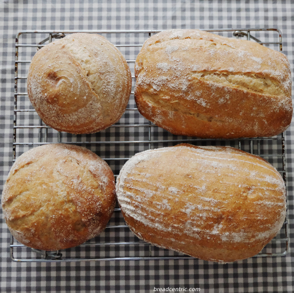 Rustic bread